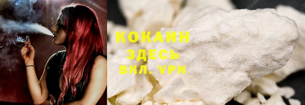 apvp Алексин