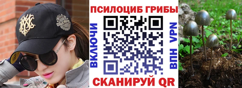 Купить  Малаховка  Галлюциногенные грибы ЛСД 